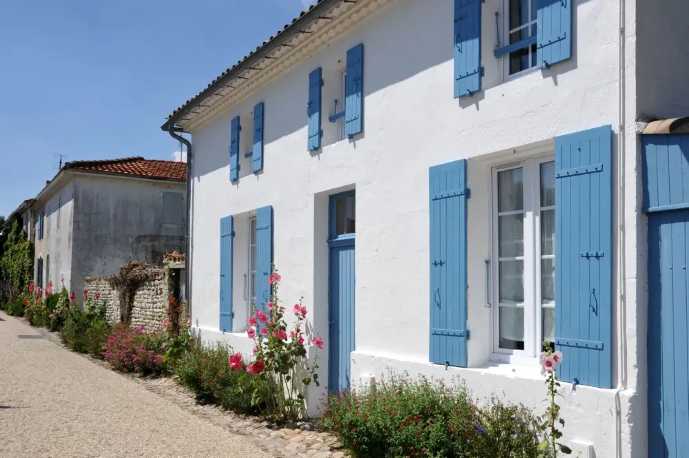 Volets près de Libourne