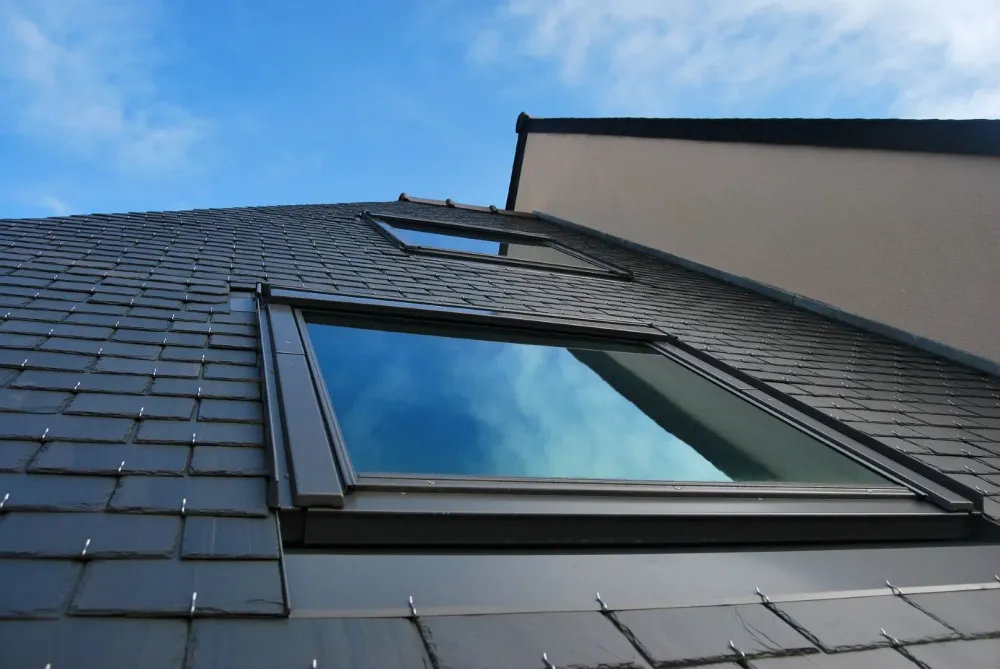 Velux noir